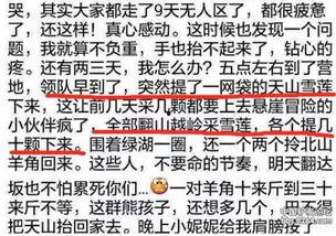 雪莲爆料视频在线观看,揭秘幕后真相，带你走进事件核心